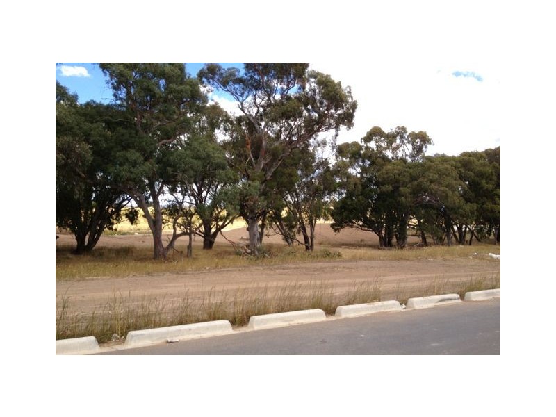 11 Annie Douglas Street, Casey ACT 2913
