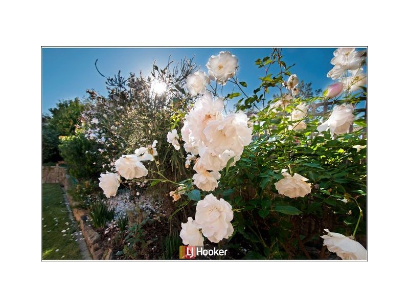 53 Yumba Avenue, Ngunnawal ACT 2913