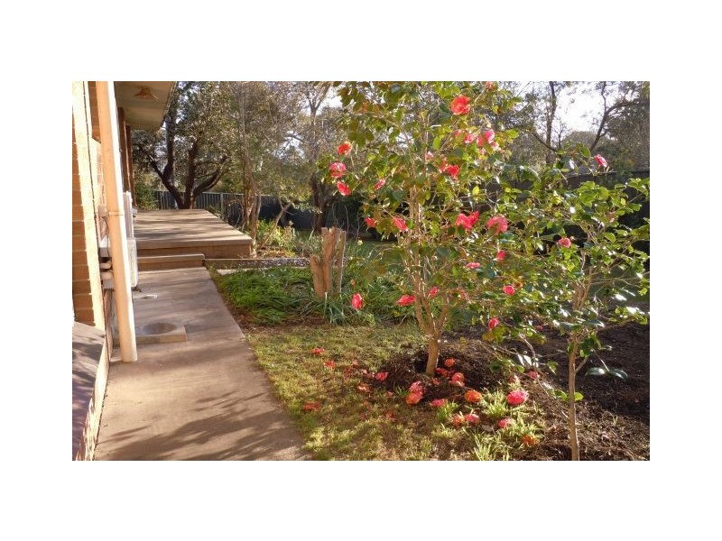 13 Goessling Place, Flynn ACT 2615
