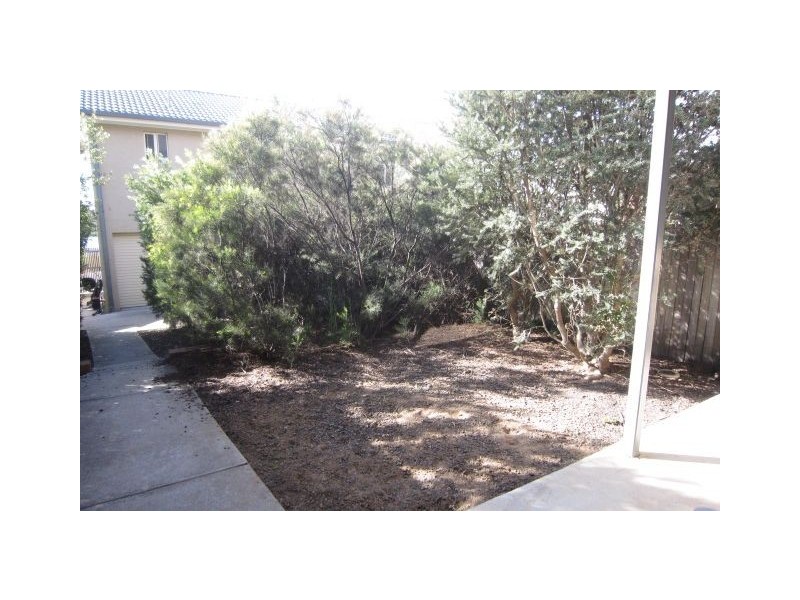 5 Frances Burke Street, Gungahlin ACT 2912