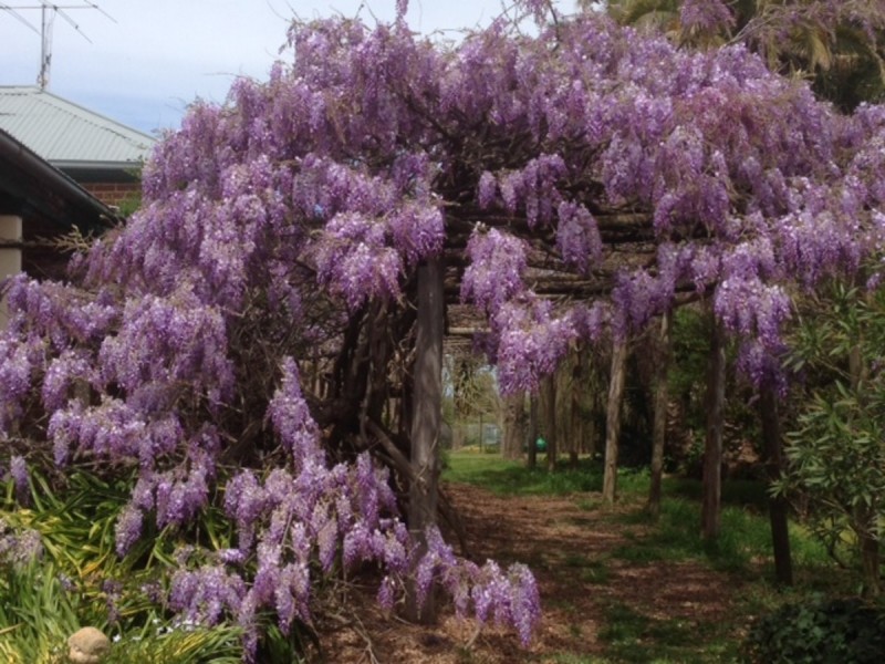 47 Morton Avenue, Yass NSW 2582