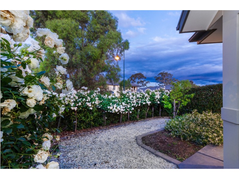14 Frances Burke Street, Gungahlin ACT 2912