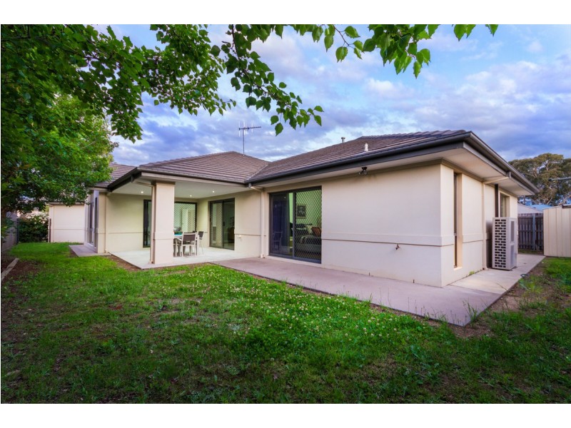 14 Frances Burke Street, Gungahlin ACT 2912