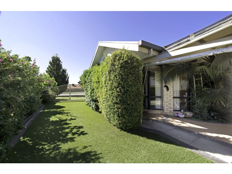 51 Shoalhaven Avenue, Amaroo ACT 2914