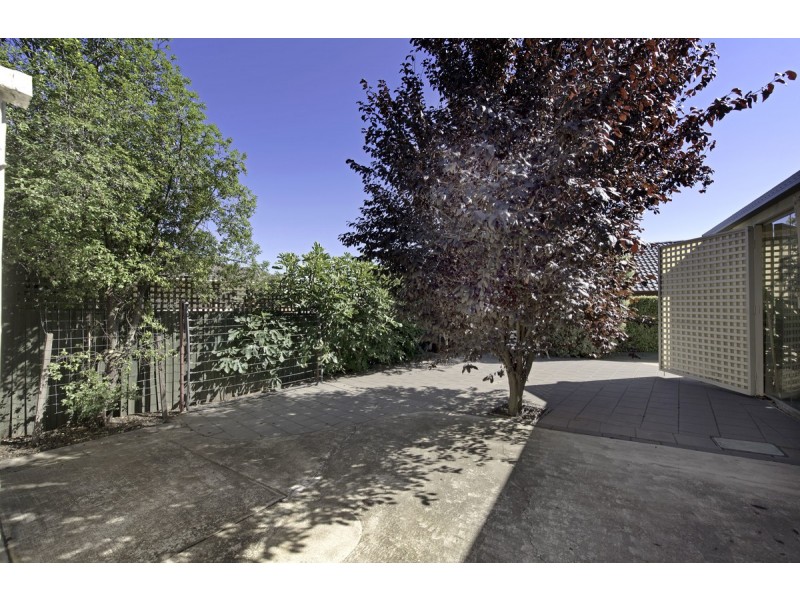 51 Shoalhaven Avenue, Amaroo ACT 2914