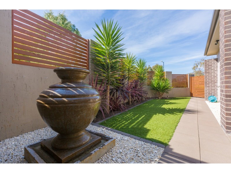 13 Doris Turner Street, Forde ACT 2914