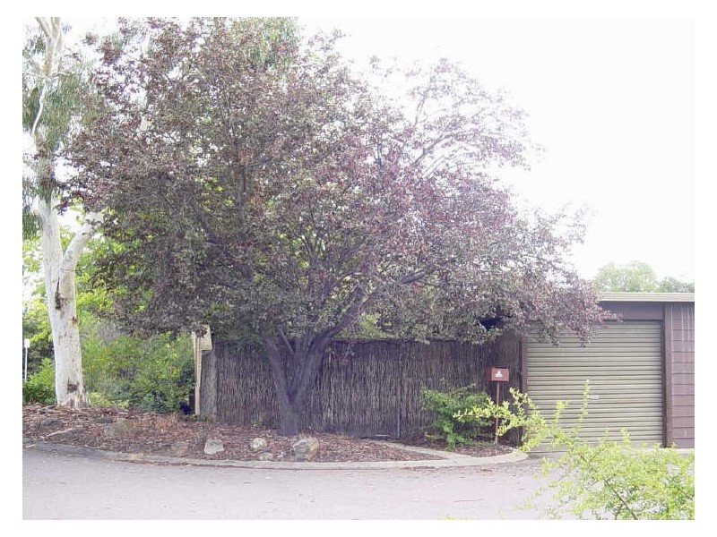51 Canopus Crescent, Giralang ACT 2617