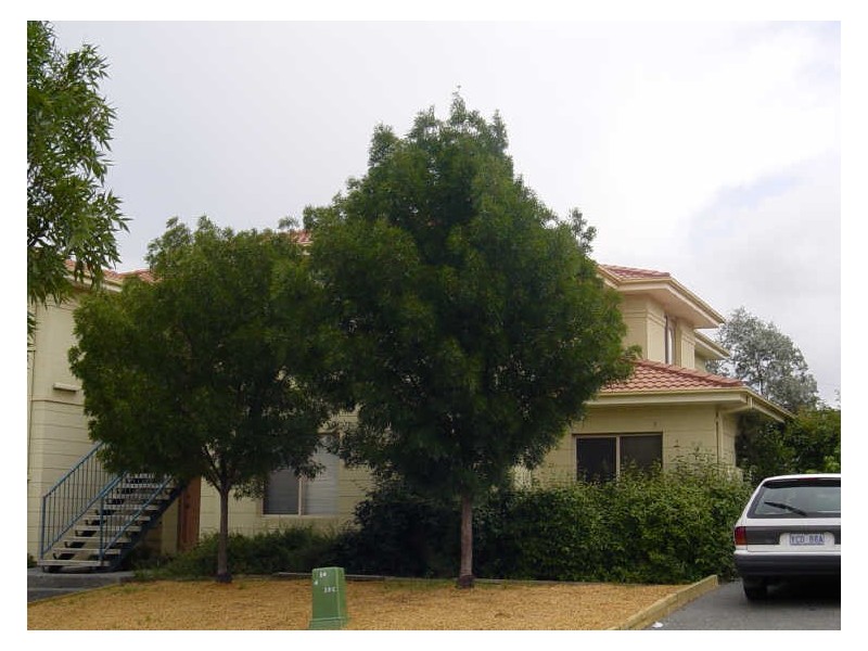 47/46 Paul Coe Crescent, Ngunnawal ACT 2913