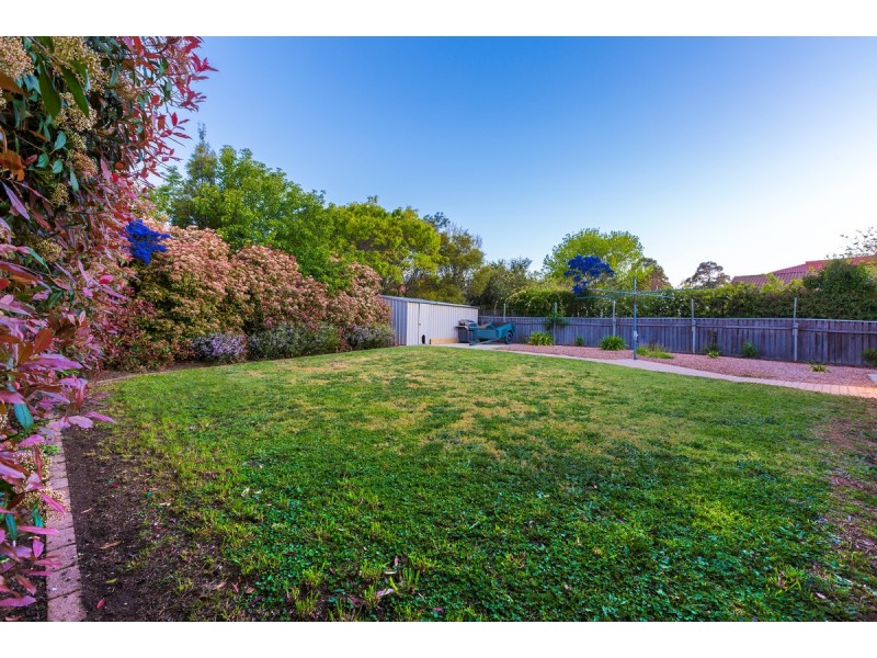 41 Kosciuszko Avenue, Palmerston ACT 2913