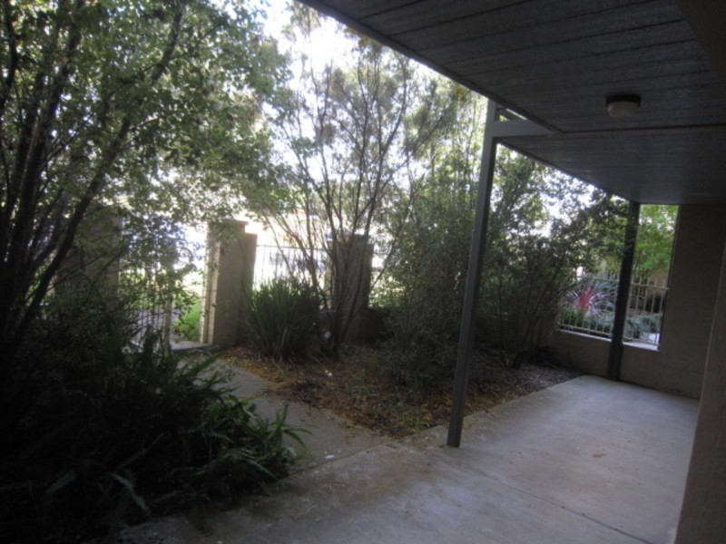 5 Frances Burke Street, Gungahlin ACT 2912