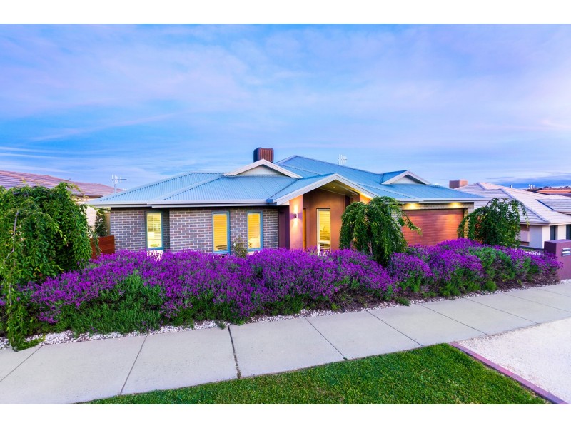 8 Arndt Street, Forde ACT 2914
