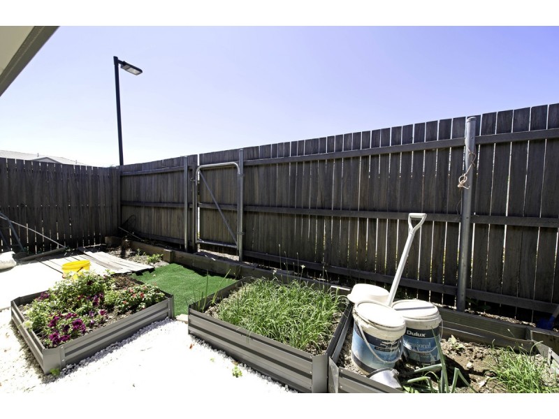 14/71 Lawrenson Circuit, Amaroo ACT 2914