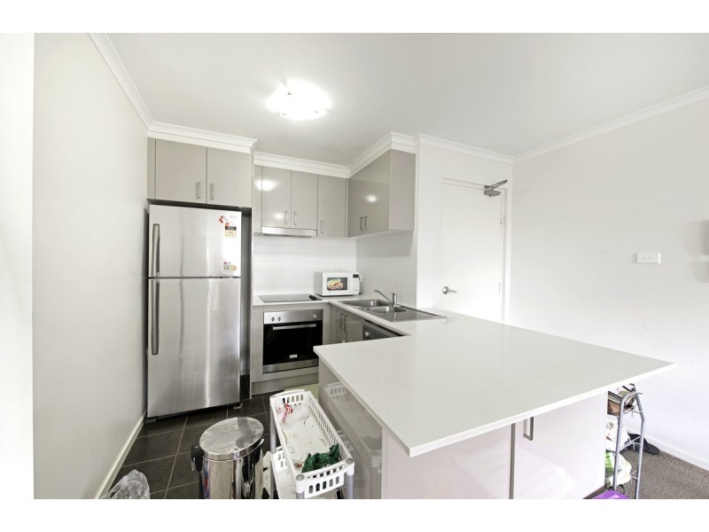 66/75 Elizabeth Jolley Crescent, Franklin ACT 2913