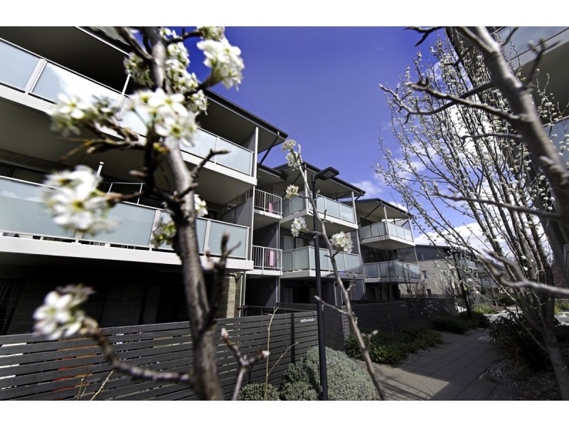 38/126 Thynne Street, Bruce ACT 2617