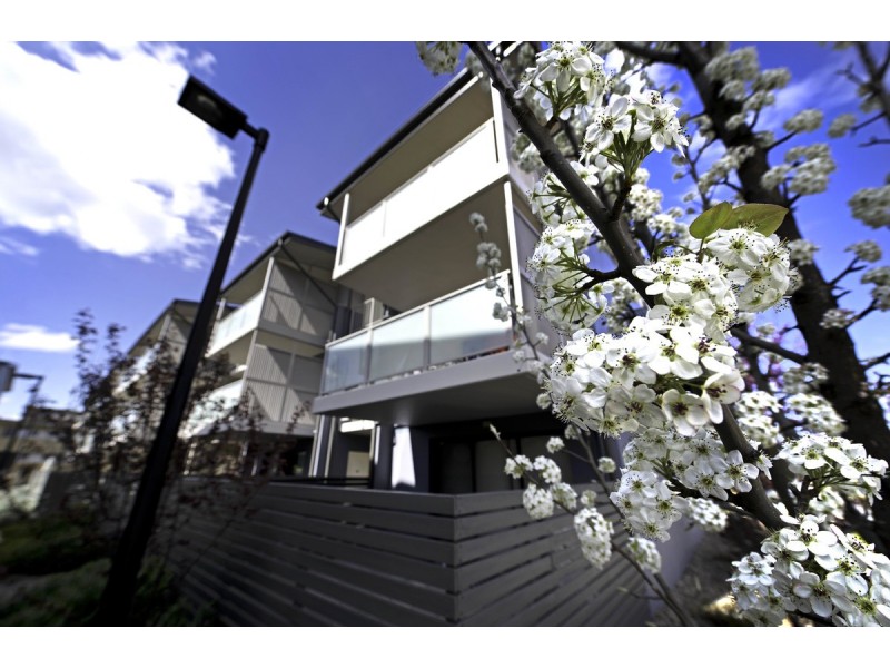 38/126 Thynne Street, Bruce ACT 2617