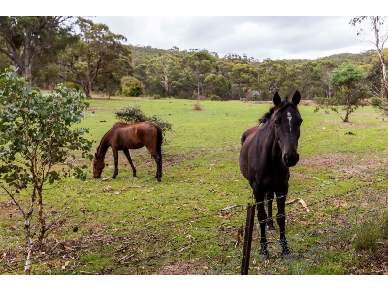 68 Foxlow Street, Captains Flat NSW 2623