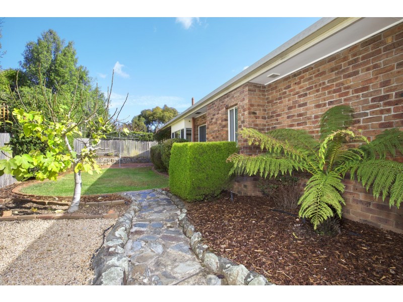 27 Feathertop Street, Palmerston ACT 2913