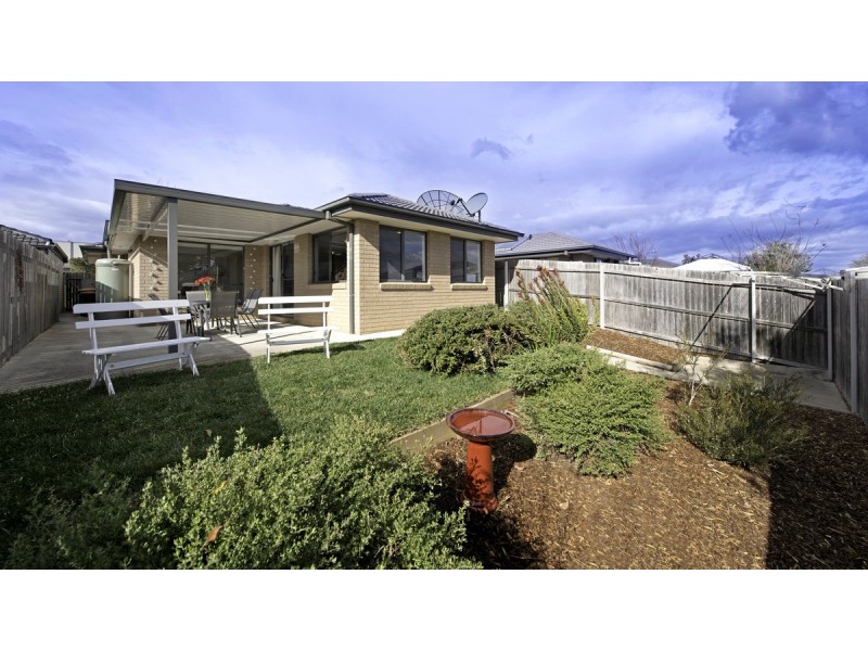 37 Dagmar Berne Street, Macgregor ACT 2615