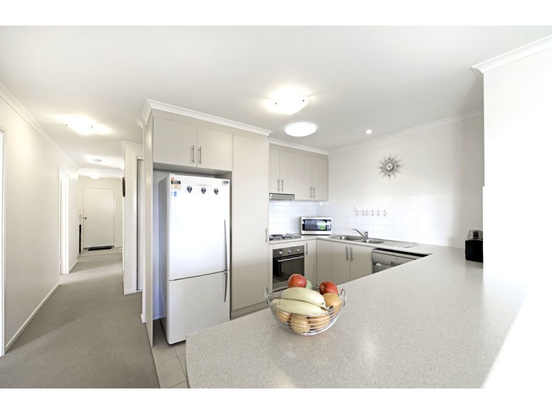 37 Dagmar Berne Street, Macgregor ACT 2615