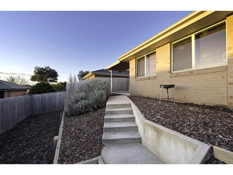51 Dagmar Berne Street, Macgregor ACT 2615