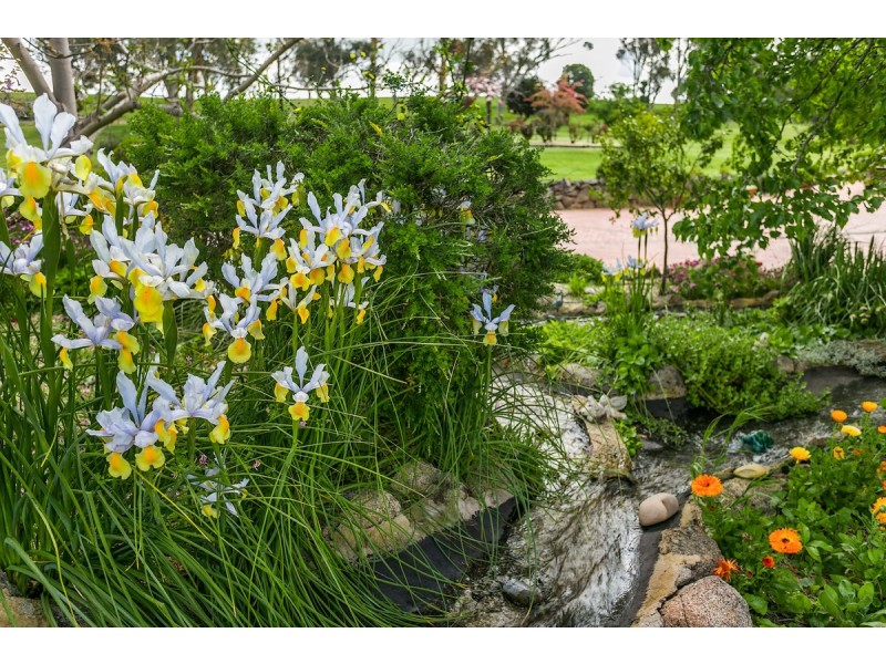 273 Linden Road, Harden NSW 2587