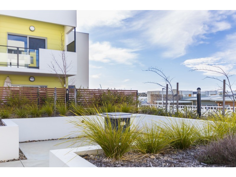 19/50 Hillcrest Street, Crace ACT 2911