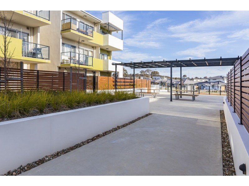 19/50 Hillcrest Street, Crace ACT 2911