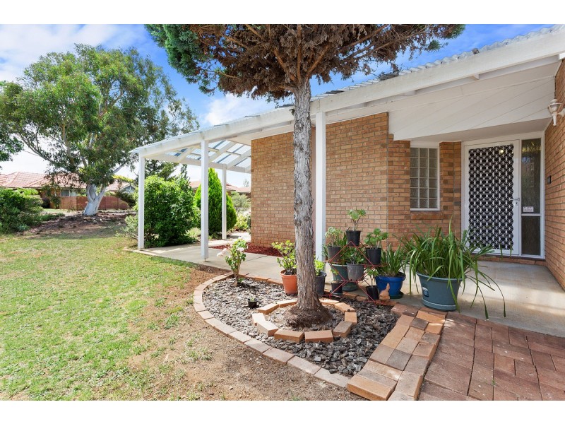 56 Tiptree Crescent, Palmerston ACT 2913