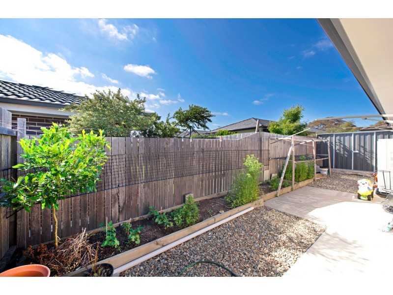 23 Pearl Gibbs Street, Bonner ACT 2914