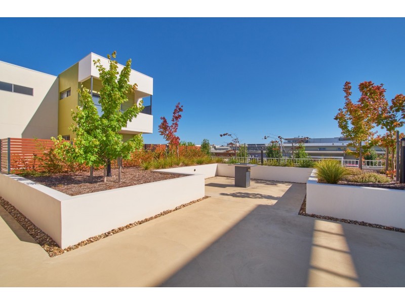 4/50 Hillcrest Street, Crace ACT 2911
