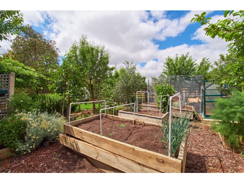 49 Duralla Street, Bungendore NSW 2621