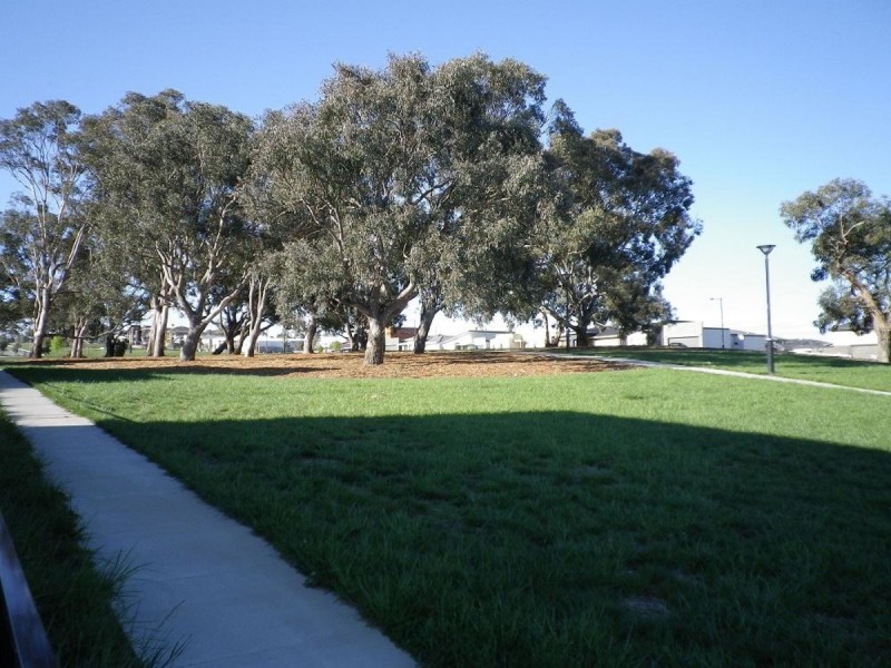 5/30 Tom Nicholas Crescent, Forde ACT 2914