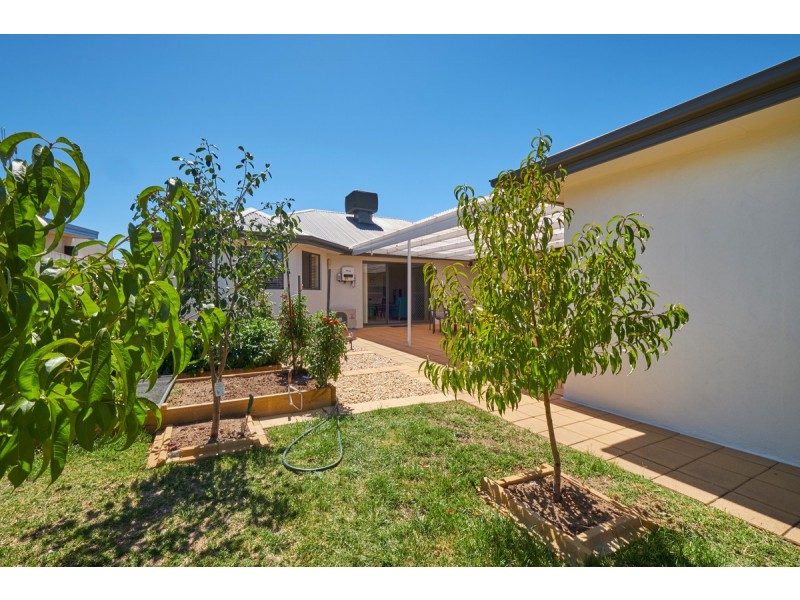 26 Mary Gillespie Avenue, Gungahlin ACT 2912