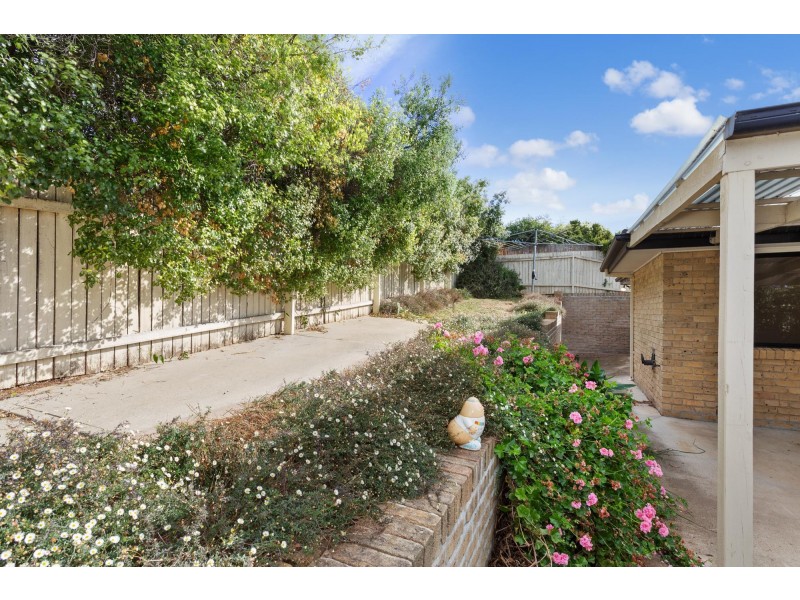 6 Bendora Crescent, Palmerston ACT 2913