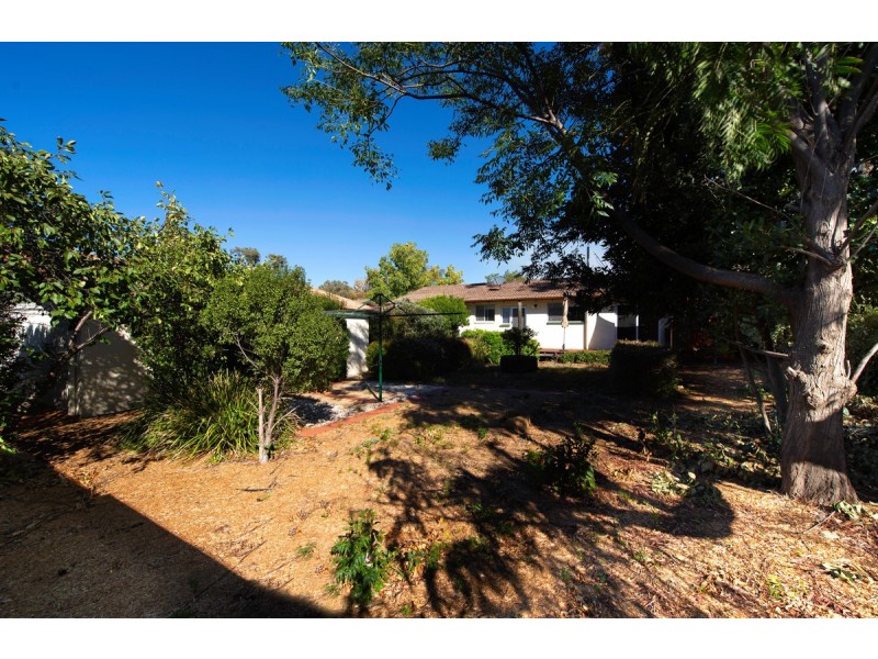 11 Etheridge Street, Page ACT 2614