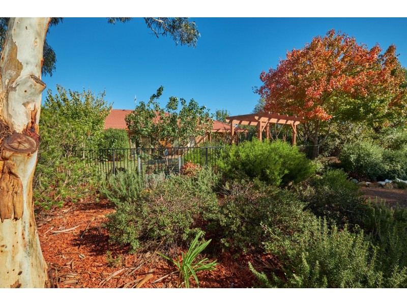 8 Evella Court, Amaroo ACT 2914