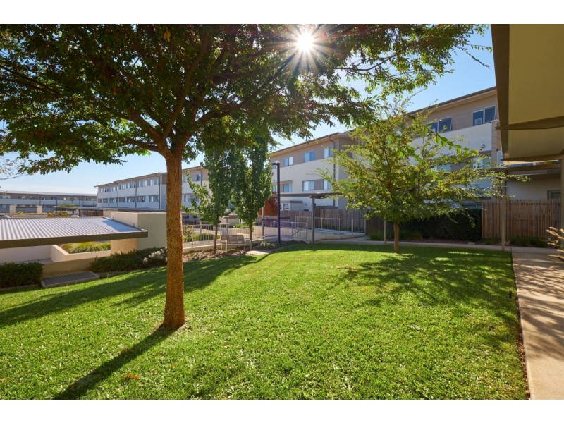 23/311 Flemington Road, Franklin ACT 2913