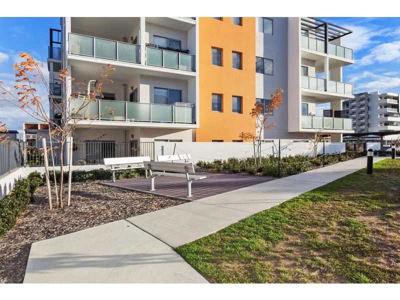 81/230 Flemington Road, Harrison ACT 2914