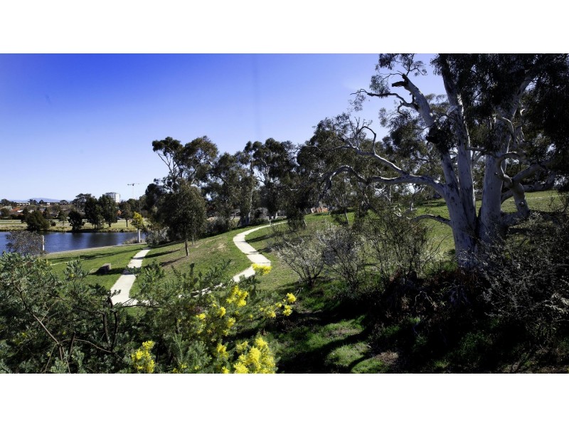 10/16 Ray Ellis Crescent, Forde ACT 2914