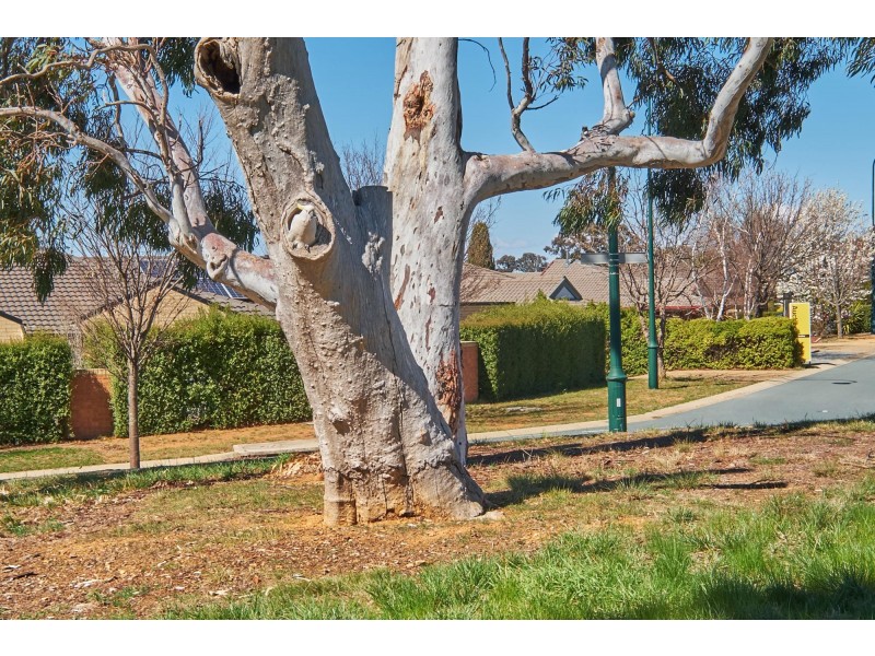 2/21 Tea Gardens, Gungahlin ACT 2912