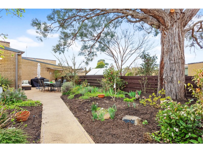 33 Southwell Street, Weetangera ACT 2614