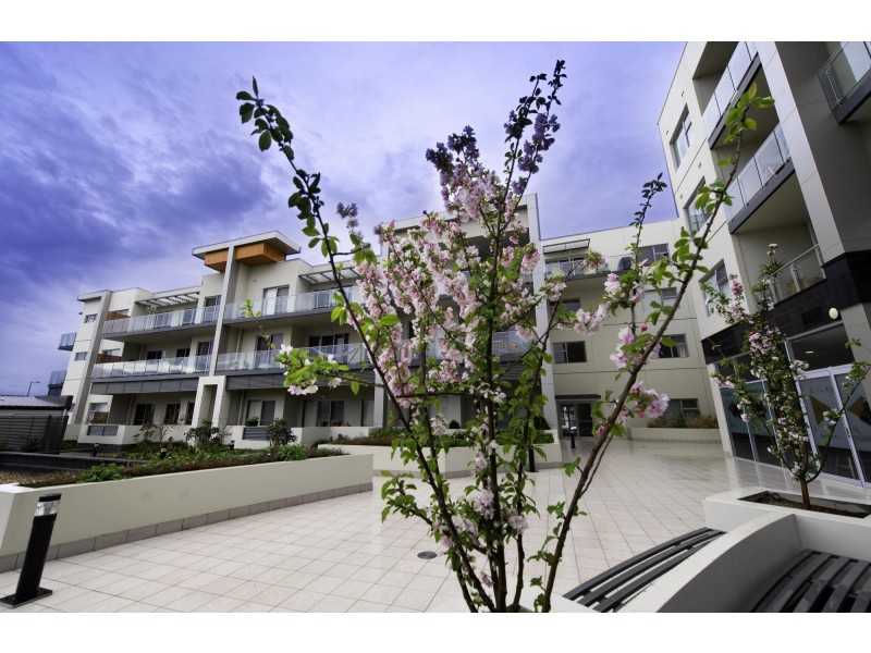 39/21 Christina Stead Street, Franklin ACT 2913