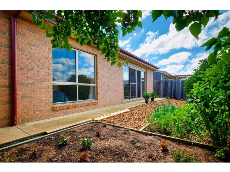 14 Anna Morgan Circuit, Bonner ACT 2914