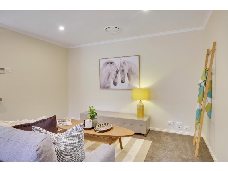 66 Tiptree Crescent, Palmerston ACT 2913