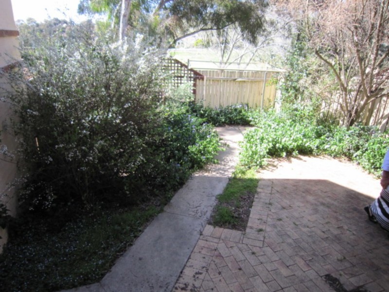 18/11 Flack Street, Holt ACT 2615