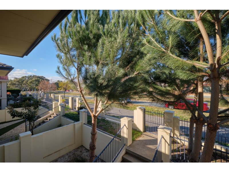 17 Nellie Hamilton Avenue, Gungahlin ACT 2912