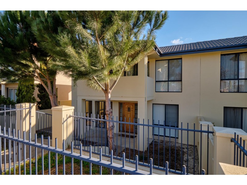 17 Nellie Hamilton Avenue, Gungahlin ACT 2912