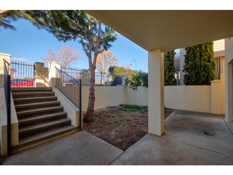 17 Nellie Hamilton Avenue, Gungahlin ACT 2912
