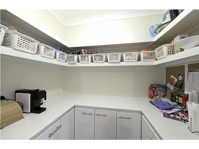 19 Spillett Street, Forde ACT 2914