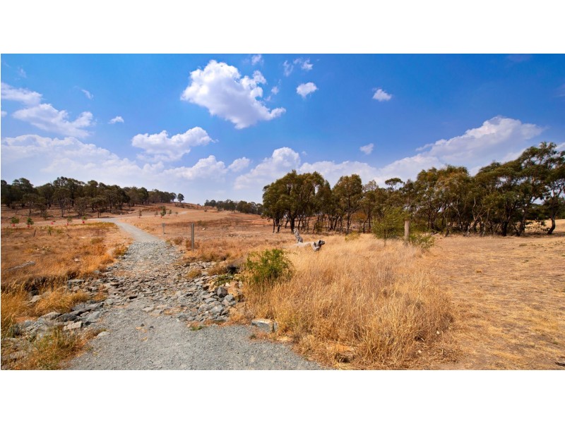 82 Wanderer Court, Amaroo ACT 2914